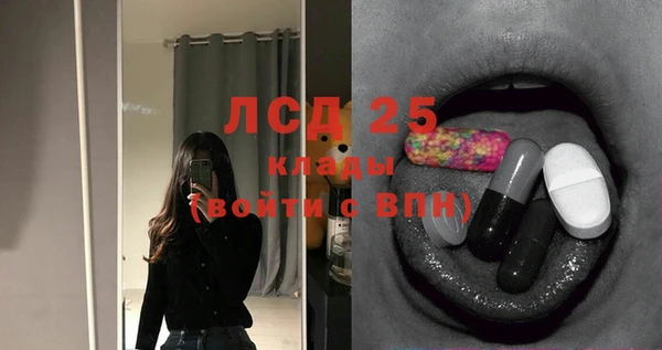 ПСИЛОЦИБИНОВЫЕ ГРИБЫ Алзамай