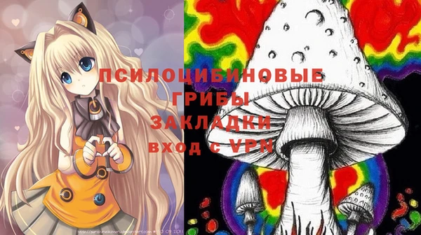 ПСИЛОЦИБИНОВЫЕ ГРИБЫ Алзамай