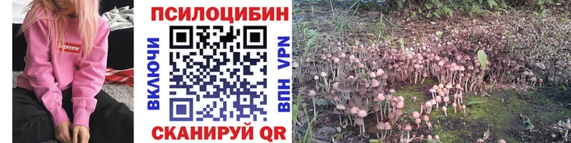 Псилоцибиновые грибы мухоморы Южно-Сухокумск